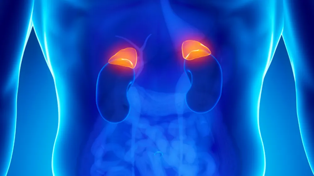 Adrenal & Pituitary in Kondapur, Hyderabad
