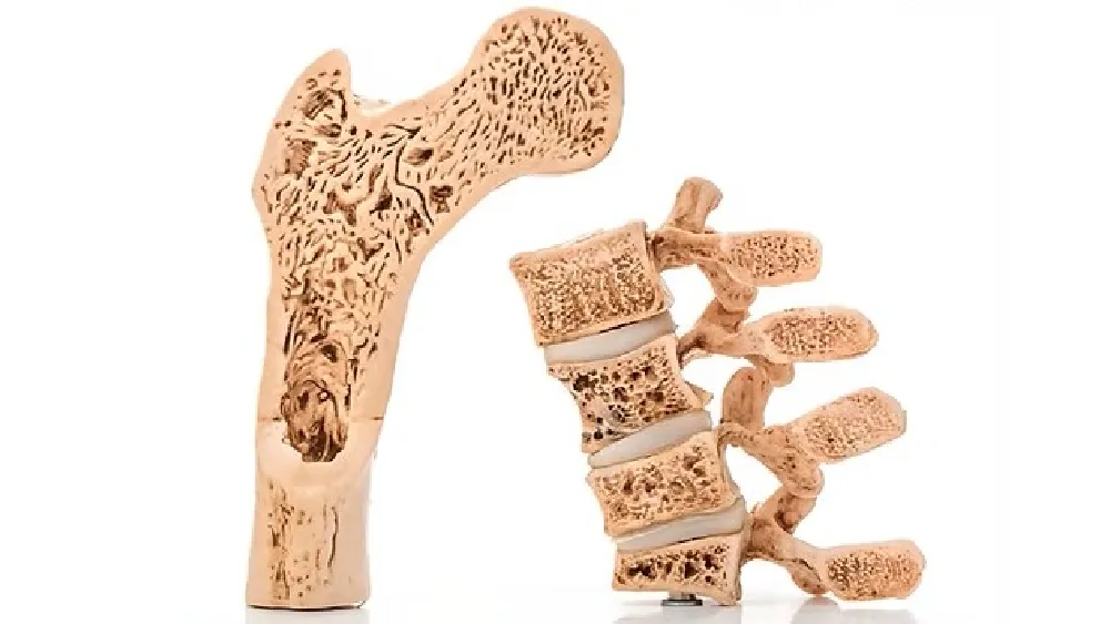 Bone & Calcium in Kondapur, Hyderabad